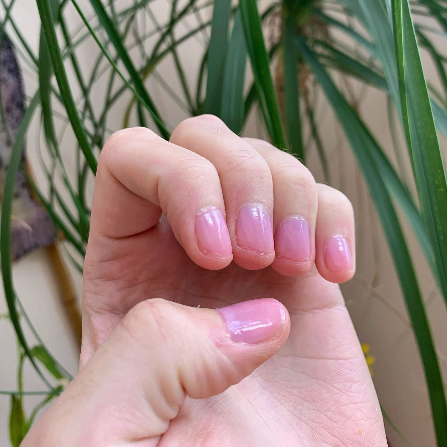 Manicure em unhas curtas com esmalte rosa brilhante
