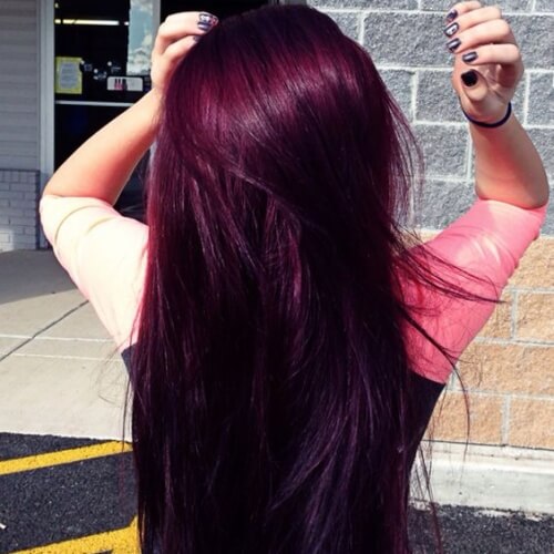 Plum Purple Hair Color