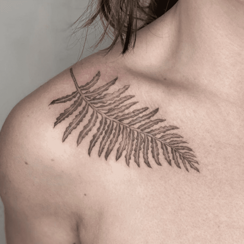 Minúscula folha e caule de tatuagens de ombros