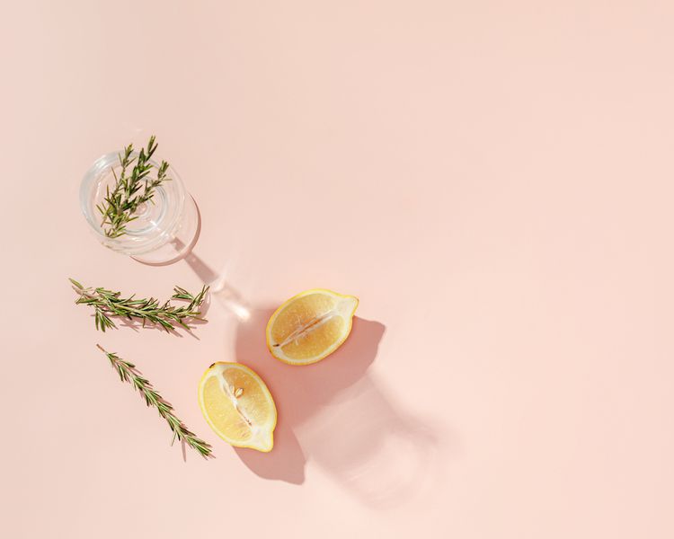 Um galho de alecrim e limão em um fundo rosa